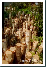 Chelsea Flower Show 2010 151
