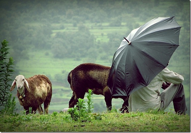 Lavasa Rain by Gauvar Patil