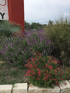 Vivero Growers Nursery Austin