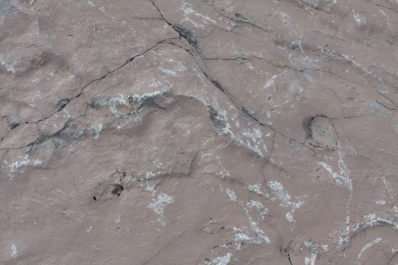 Stone rock surface texture 4770x3178