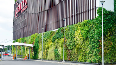 taman vertikal - living wall