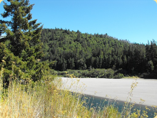 Avenue of the Giants-Ancient Redwoods 085