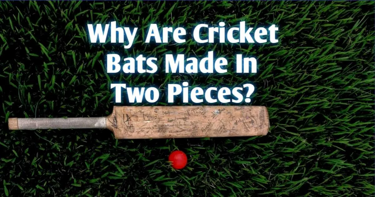 Why Are Cricket Bats Made In Two Pieces?