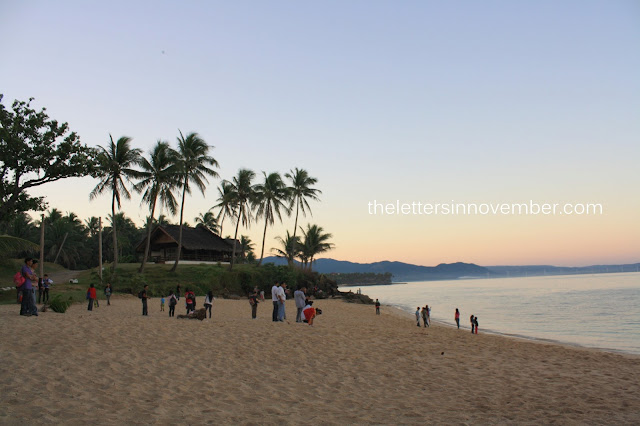 people gathering around the beach