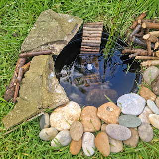 a small round pond in a bucket