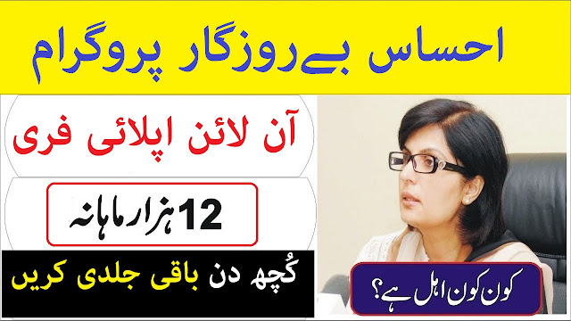 Ehsaas Berozgaar Program Online Registration 2021