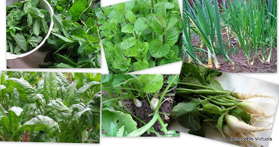home garden vegetables radish spinach onions vegetable croqueetes