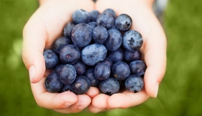 Blueberries offer benefits for post-traumatic stress disorder