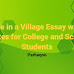 Life in a Village Essay with quotes for College Students