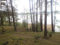 Dar nesurekreacinta Bebrusų pakrantė pavakary. Džiaukimės ja, kol galime. Fotografuota netoli „Bebrusynės“.