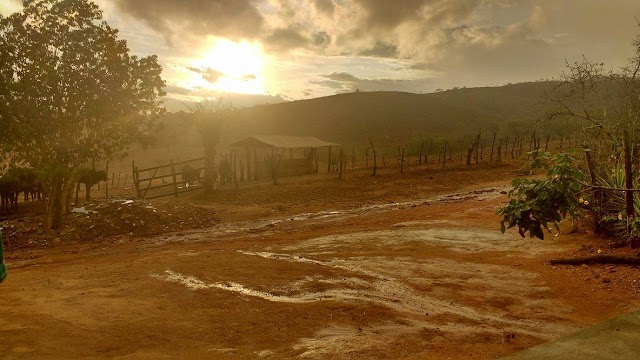 LEITOR DO BLOG MOSTRA COMO FOI A CHUVA NA REGIÃO SERRANA DE BOM CONSELHO