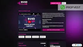 BUSD Club обзор и отзывы проекта