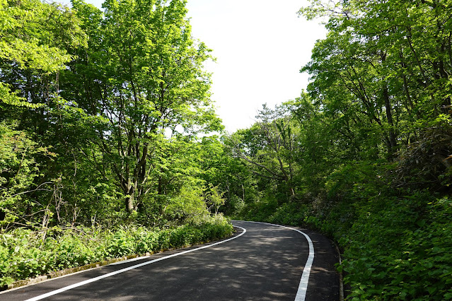 大休峠の入り口から下る山道