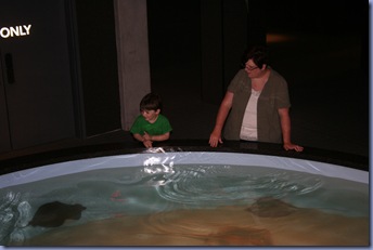 IMG_5394 IMG_5394