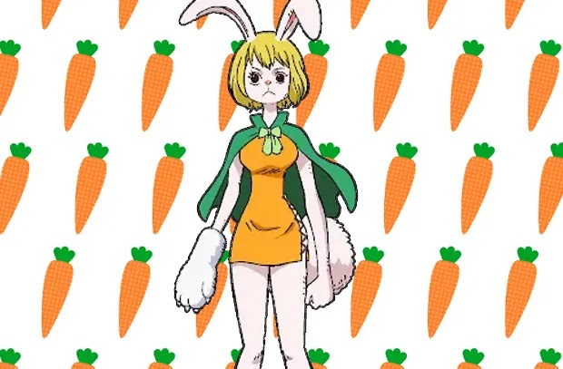 Carrot is getting a P.O.P figure!