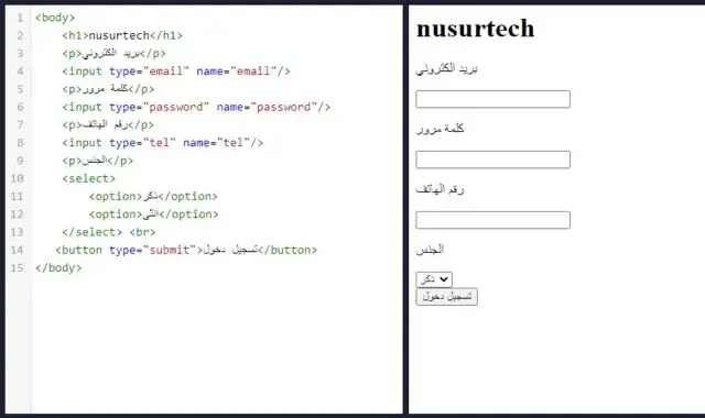 input tag html