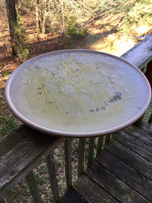 leaf out reflected in bird bath ice