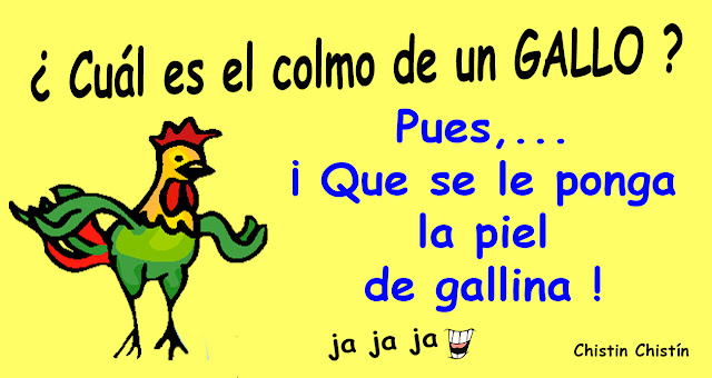 Colmo de un gallo