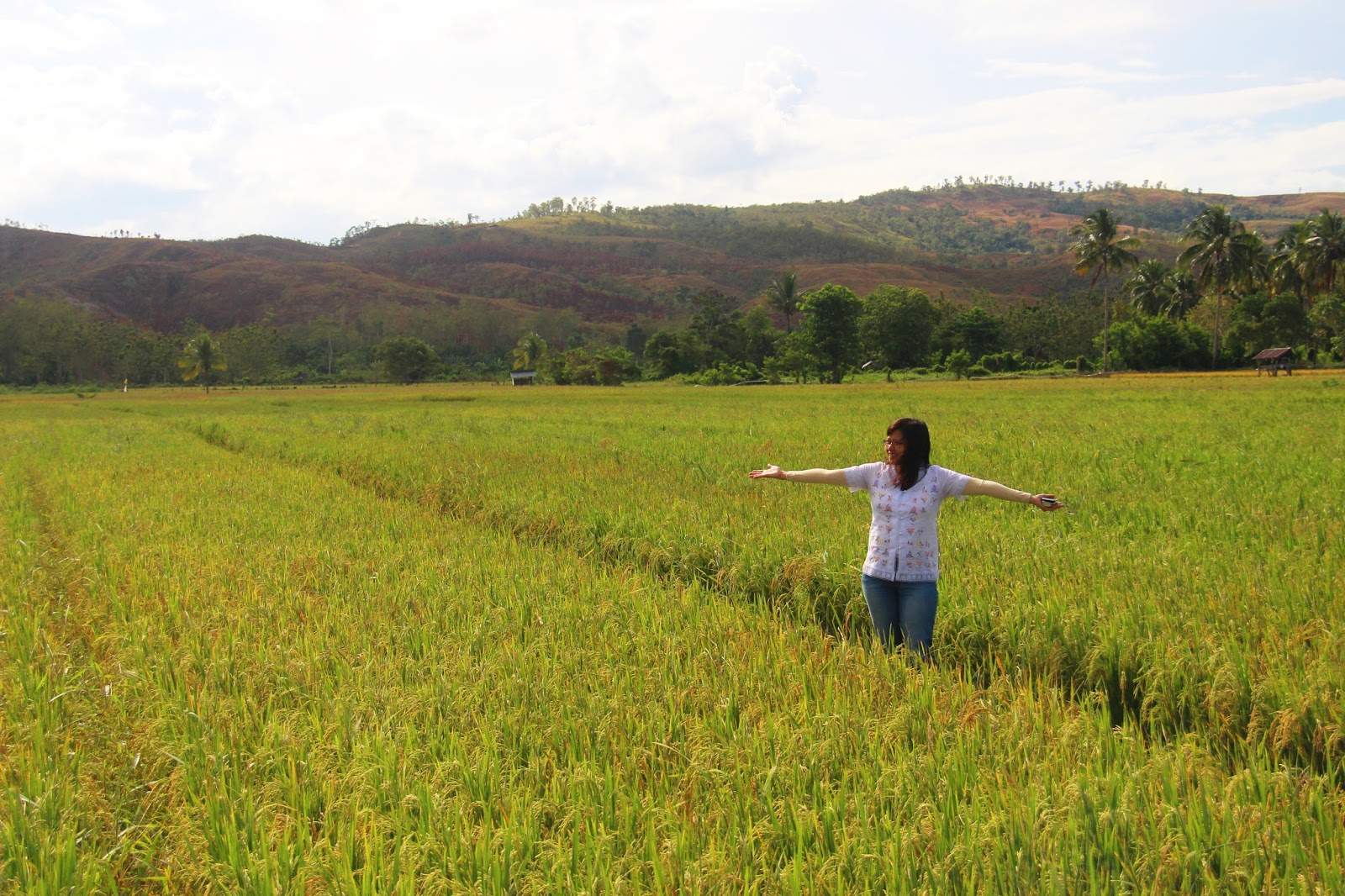 Tips Hunting Foto Di Sawah Oleh Model Dan Cewek Igo Cantik Dzargon