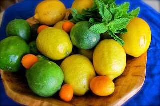 How to Starting Citrus Farming Business
