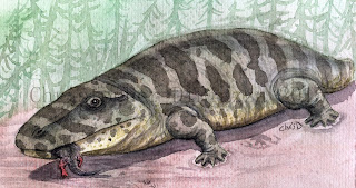Image result for ERYOPS