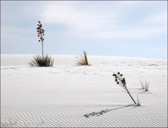 White_Sands_National_Monument_09