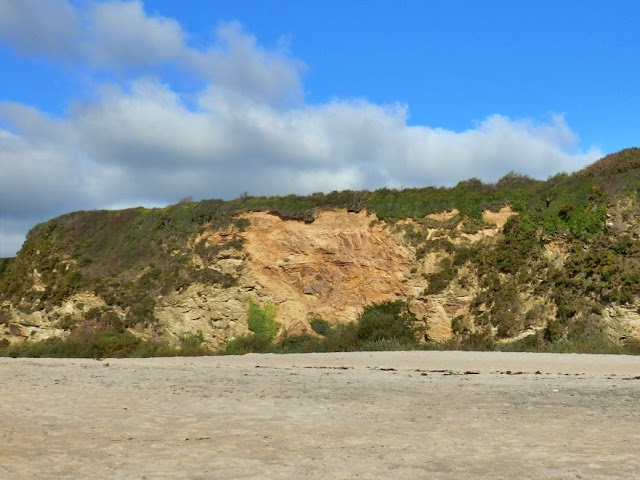 Cliffs at Carlyon Bay, Cornwall