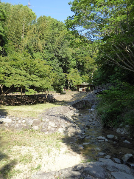 【交野市】サワガニを見つけた！新緑の6月・小川の清涼（源氏の滝周辺）