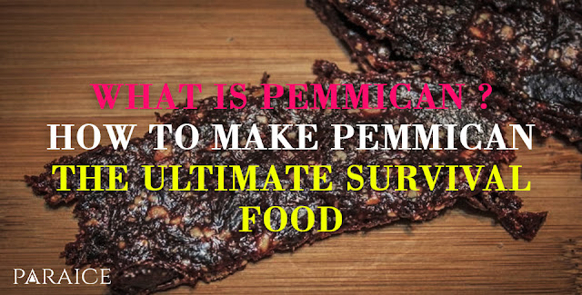 How to Make Pemmican - The Ultimate Survival Food