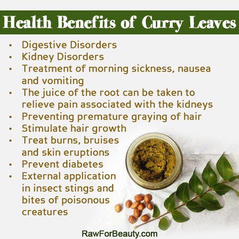 Natural Cures Not Medicine: Health benefits of curry leaves