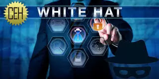 Why Is an Ethical Hacking Course Important and Why You Should Learn It