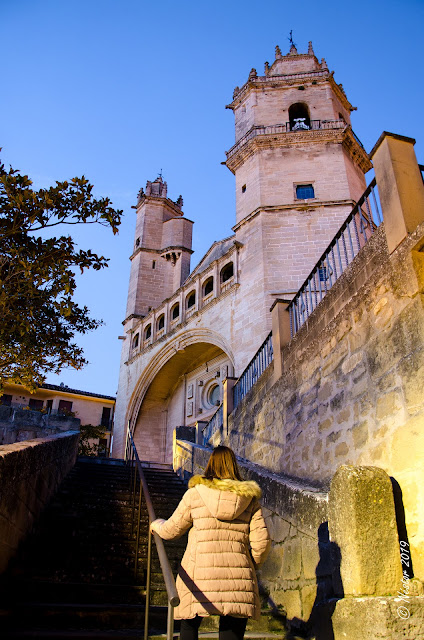 Elciego, Alava, Hotel Marques Riscal, Puente Montalvo