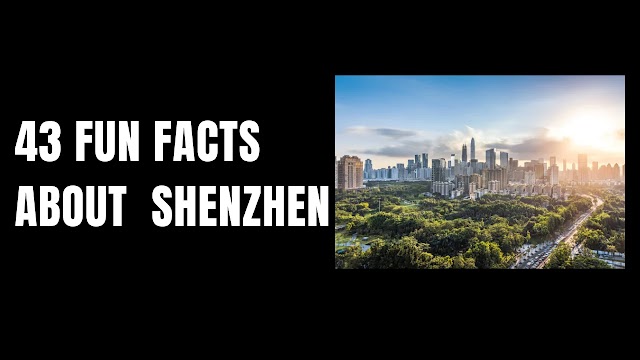 You Won't Believe These Insane Fun Facts About Shenzhen