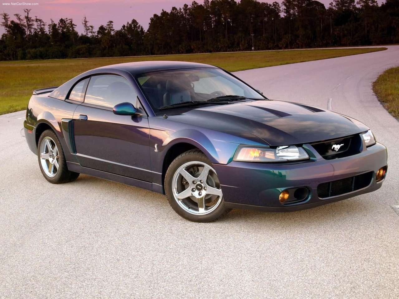 Ford - Populaire français d'automobiles: 2004 Ford SVT Mustang Cobra ...