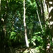 View album