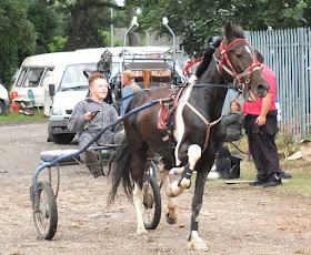 Are you going to Brigg Horse Fair 2016 - to be held on Friday, August 5th? Picture eight  on Nigel Fisher's Brigg Blog