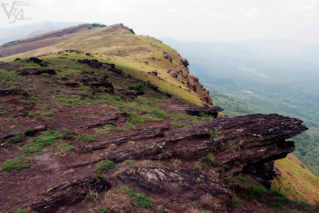 Trek routes across the BB Hills