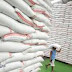 The Central Bank of Nigeria (CBN) said Nigerian farmers would start exporting rice in the next 24 months.