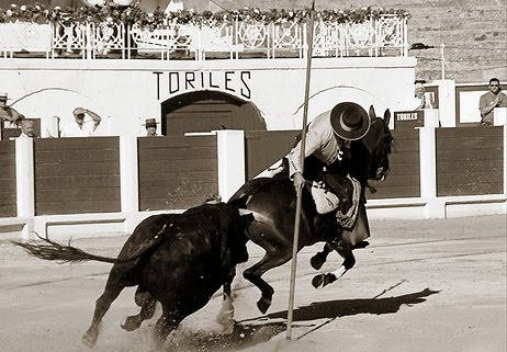 De Tordo y Oro