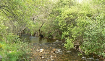 P1200469