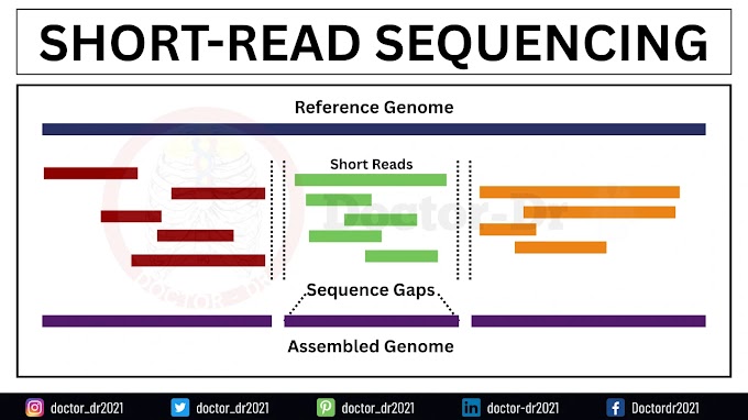 Short-Read Sequencing: Principle, Process, Advantages, Limitations, and Applications Explained