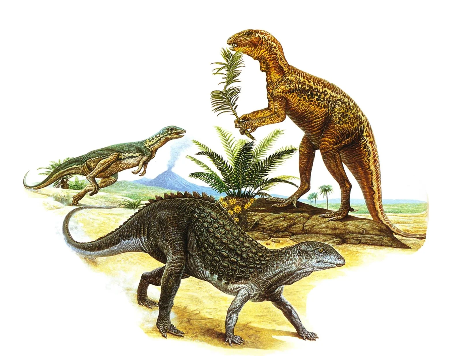 Three dinosaurs