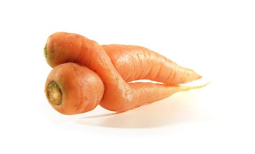 mutating-vegetables (8)