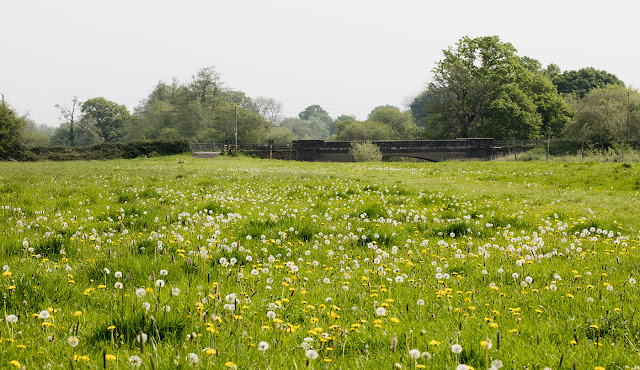 View across fields to the Enfield Road bridge over the River Medway, Leigh, 12 May 2016.