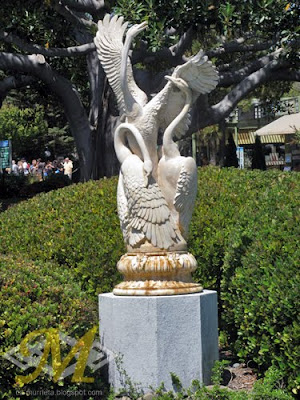 Swan Statue Seaworld