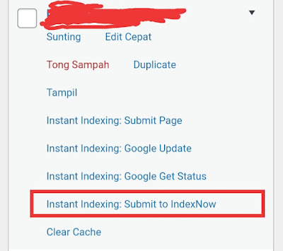 Gambar Submit New Index For WordPress
