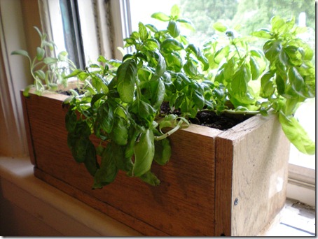New Planter! So Rustic!
