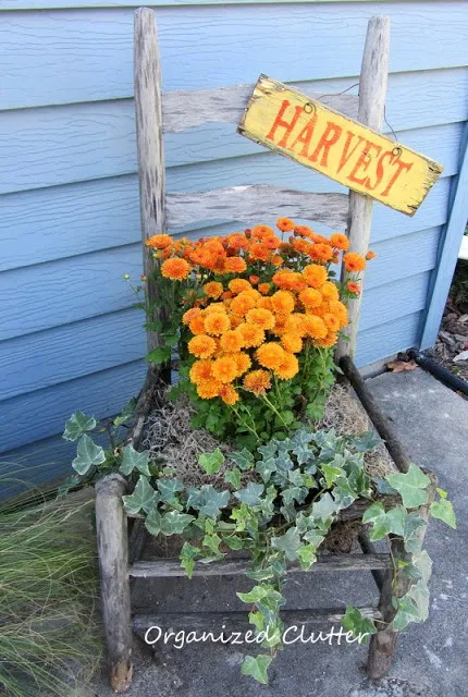 Fall Harvest Mum Chair www.organizedclutterqueen.blogspot.com