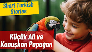 Easy Turkish Stories - Learn Turkish through Stories
