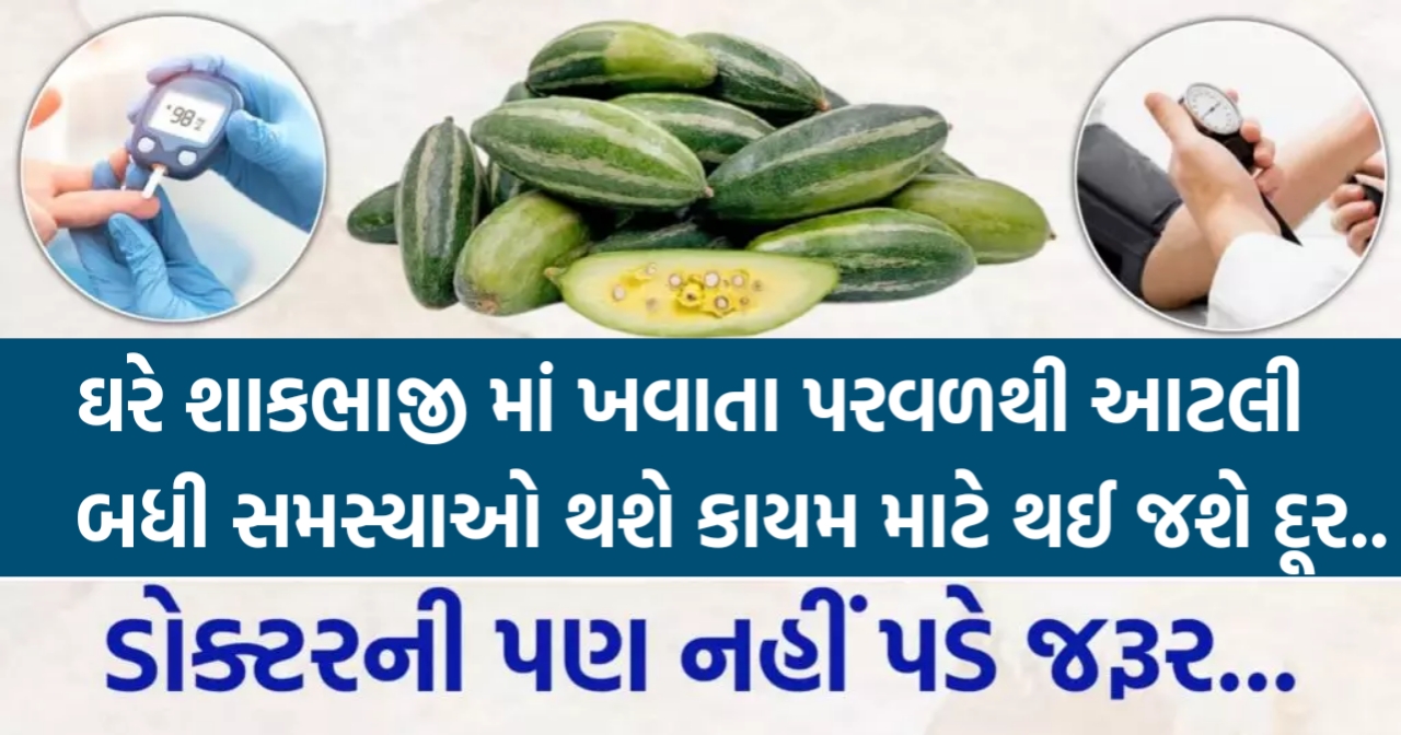 ઘરે શાકભાજી માં ખવાતા પરવળથી આટલી બધી સમસ્યાઓ થશે કાયમ માટે દૂર. આટલા રોગો માટે ડોક્ટર જોડે પણ નહીં જવું પડે.